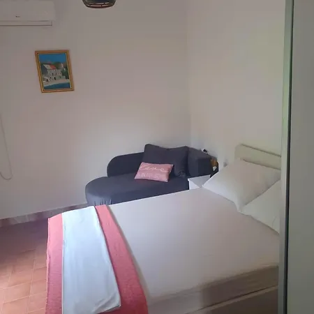 11588a Podaca