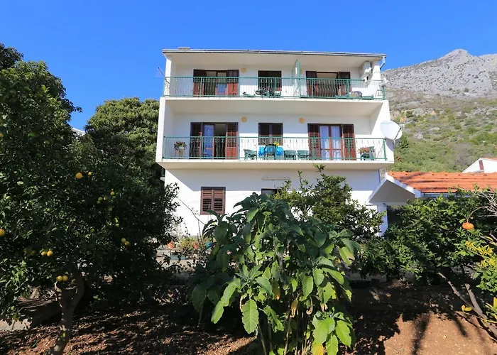 11588a דירה פודאצה