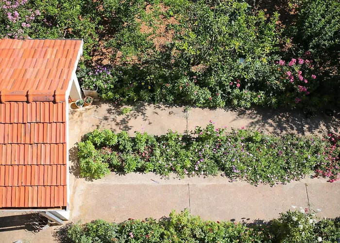 11588a דירה פודאצה